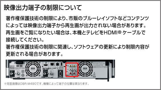 映像出力端子の制限について
