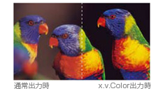 「x.v.Color対応」 イメージ