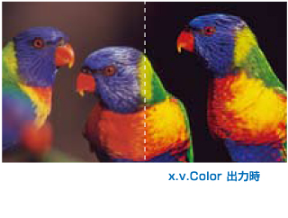 x.v.Colorイメージ