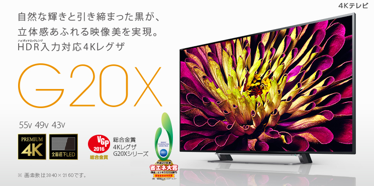 49型液晶テレビ 49G20X レグザ REGZA 東芝 リール - dr-natura.pl