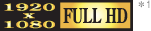 1920×1080 FULLHD *1 ロゴ