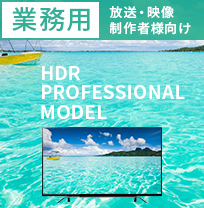 Z20X HDR PROFESSIONAL MODEL