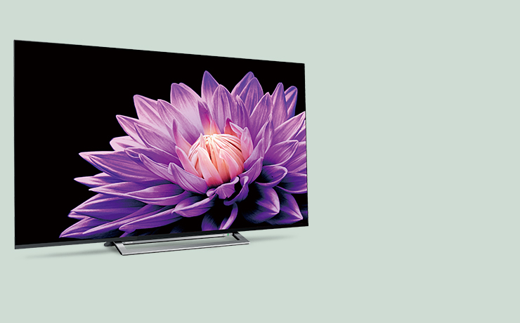 最低価格の テレビ 55M540X REGZA テレビ - powertee.com