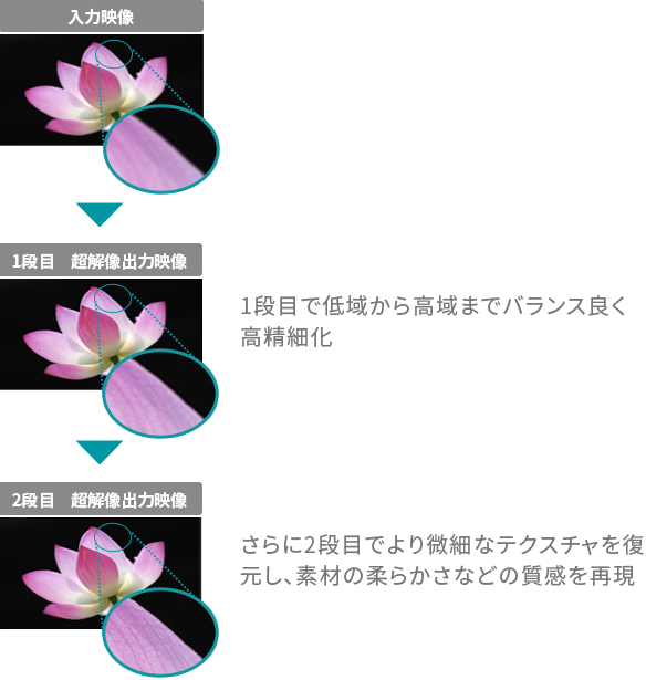 Z810X/高画質/精細感｜テレビ｜REGZA：東芝