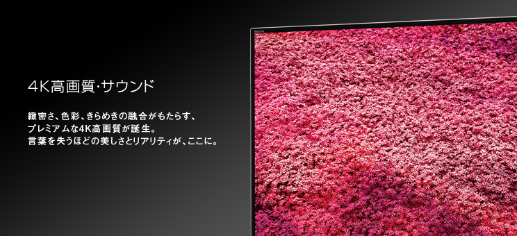 緻密さ、色彩、きらめきの融合がもたらす、プレミアムな4K高画質が誕生。言葉を失うほどの美しさとリアリティが、ここに。