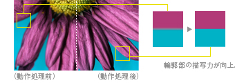 「色超解像技術」イメージ